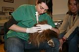 INSEMINATION ARTIFICIELLE 015